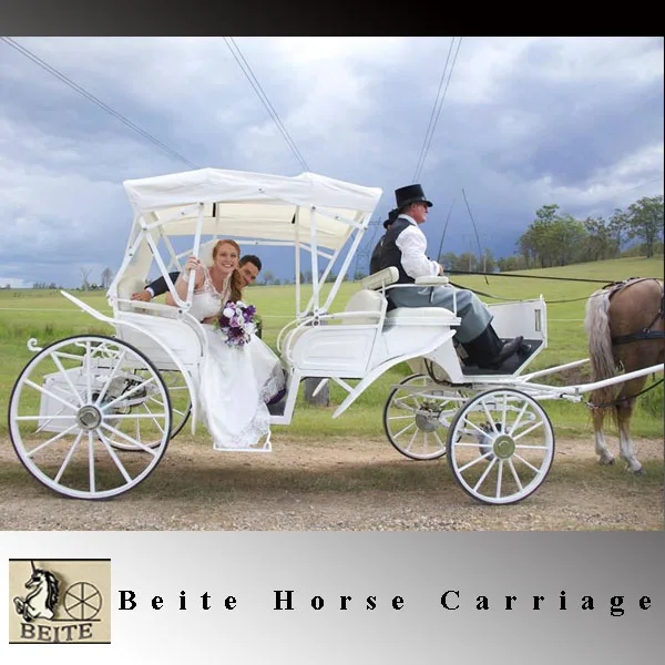 -wedding carriage.jpg