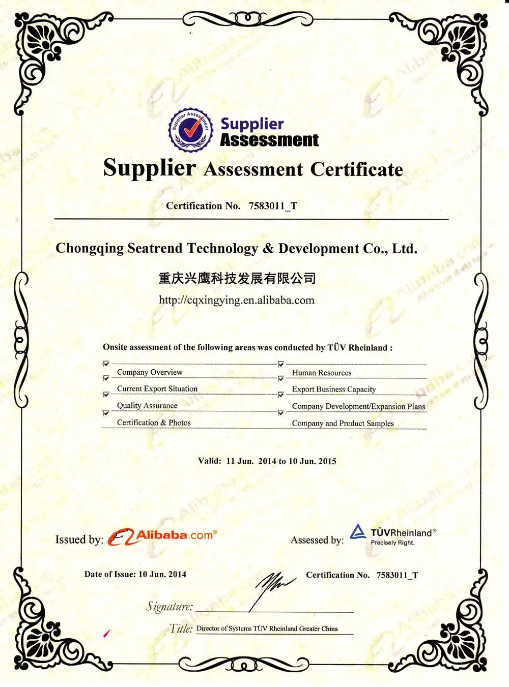 Supplier Assessment Certificate-tuv