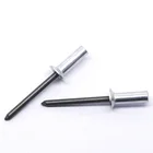Rivet custom aluminum waterproof dubai closed end blind rivet