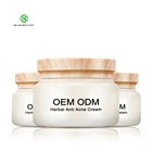 Beauty Skin Herball Acne Treatment Repairing Face Cream