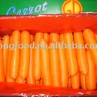 Fresh Carrots supplying all the year round