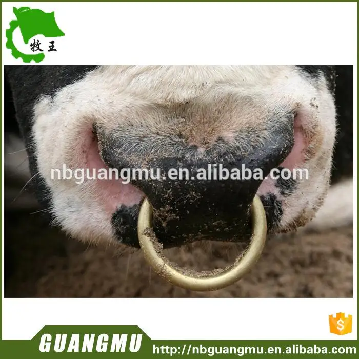 Multifunktionale Cattle Nasenring Stier Nase Ring Schwein Nase Ring