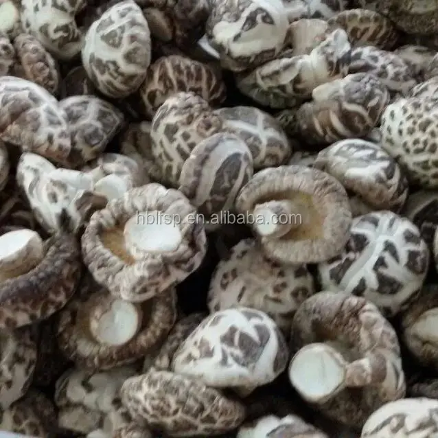 Dried White Shiitake Mushrooms and Truffles from China