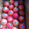 fresh red apple fruit