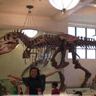 OADS6042 Museum Display Dinosaur Fossil Model