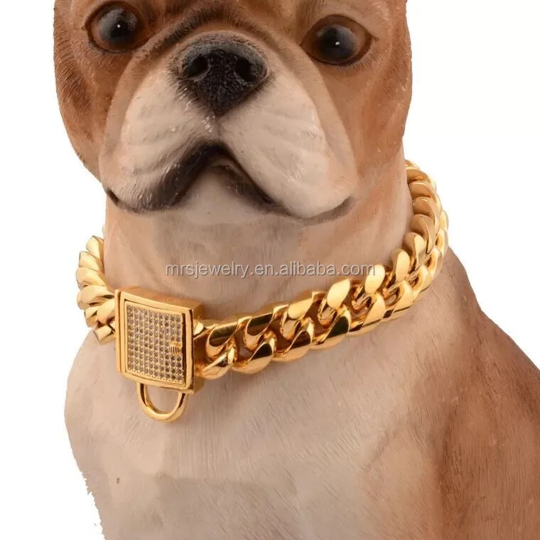 chain link dog collar