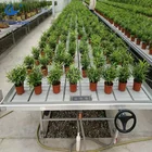 china suppliers vertical farming equipment greenhouse rolling bench