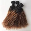 Human hair kilogram wholesale grade 8a virgin kinky curly woman hair brazil brazilian remy hair weave