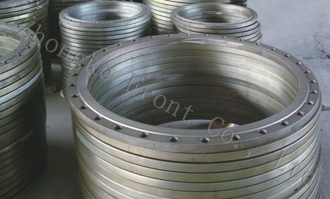 Chang Tong Carbon Steel PN10 Forged Flange