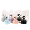 Bluetooth Wishing Streamer Bottle Music Flower Box Glass Dome with Spin System Made in China