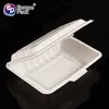 600ml biodegradable plastic fast food containers take away lunch box