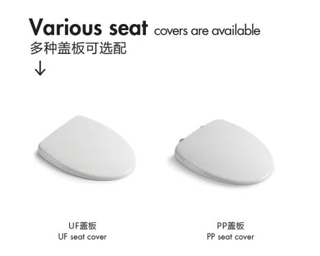 Luxury Simple Design Energy And Space Saving Washdown 6L Ceramic Bathroom Wall Hanging One-piece Toilet factory