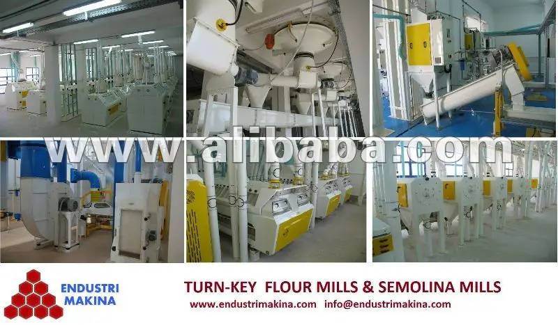 company information thylmann flour mills Bemerkungen zum positionspapier der „initiative ökosozialismus“ : „worauf es jetzt ankommt“ (kurzfristig umzusetzende minimalforderungen) das. company information thylmann flour mills Bemerkungen zum positionspapier der „initiative ökosozialismus“ : „worauf es jetzt ankommt“ (kurzfristig umzusetzende minimalforderungen) das.