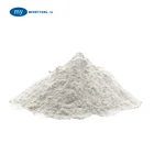 China Food Addictive Sodium Saccharin Sweetener