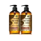 Private Label Argan Oil With Ginger Anti Hair Loss Shampoo And Conditioner Set