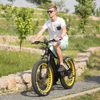 26 inch Electric bike 48v 1000w fat tire e-bicycle