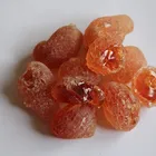 Acacia senegal arabic gum spray dry powder(Factory in Guangzhou)