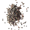 Factory Wholesale Price Hotpot Ingredients Bulk Black Pepper for Sale