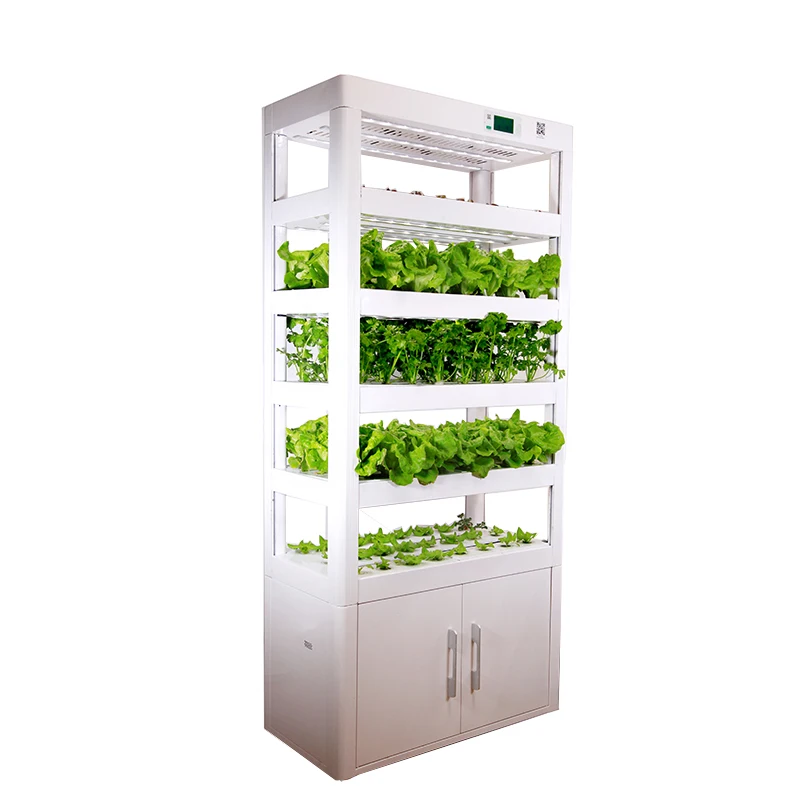 Indoor Hydroponic Vegetable Herb Garden Kit Buy Indoor Vegetable