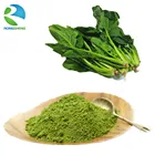 Best quality red dehydrated organic dry spinach powder