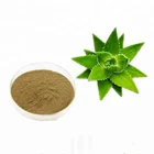 100% Organic Raw Material Bulk Powder Aloe Vera Extract