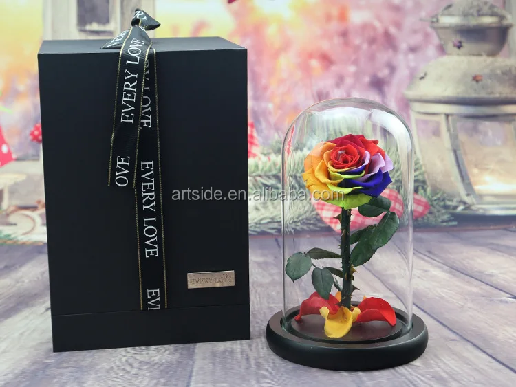 wholesale long life rainbow rose with stem  fresh