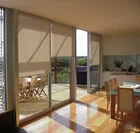 sunscreen transparent fabric roller blinds