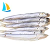 Best season good quality bqf frozen anchovy fish for feed