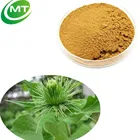 Pure Natural 20:1 Leaf of Neem Powder Organic Herb Azadirachta indica extract