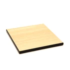 Professional hpl compact phenolic board for wholesales