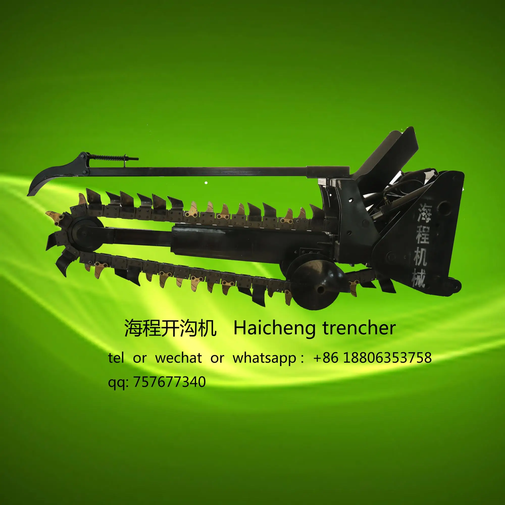 341.jpg