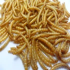 Import China Products Pet Food Freeze Dried Mealworms