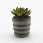 New designwrought succulent plants pot decoration home custom garden deco