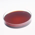 High Efficient Lipase-Cheese Flavor & Aroma Enhancer