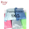 Rosynail nail art 250 colors KG package good quality dip colored dipping powder nails system