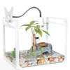 /product-detail/fish-tortoise-turtle-glass-tank-with-drying-platform-rectangle-small-dual-use-fish-tank-60829213891.html