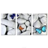 Cobblestone and Butterfly Photo Canvas Prints HD Decorative Canvas Prints Wall Mural Framed and Stretched Wholesale Canvas Sets