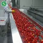 New Season All Normal Sizes Frozen Strawberry Chinese Exporter