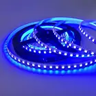 Mul-ti Color Low Cost Magic RGB 5050 SMD LED Strip Light