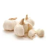 /product-detail/world-best-selling-wholesale-garlic-importers-60493940900.html