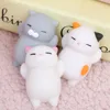 New Arrived 3D mini Squishy cat Soft Silicone Animal Squishy Toy Relieve Stress Fidget Hand cute cat Squeeze Pinch Toy