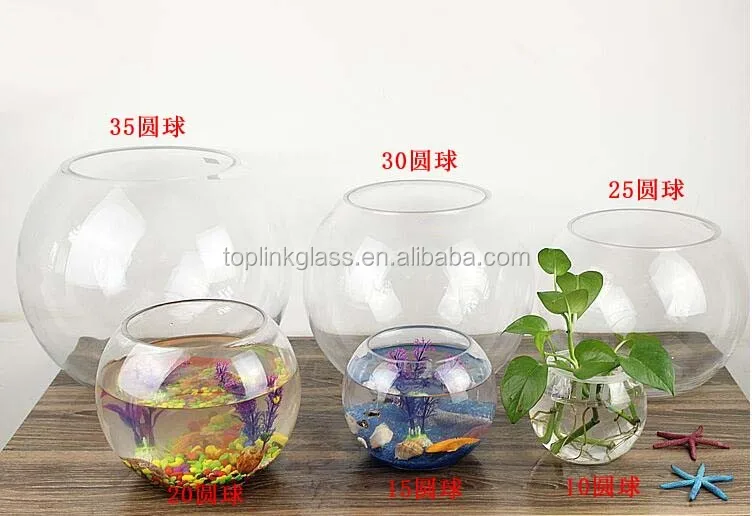 clear glass vase fish tank ball bowl feet/ succulents planter