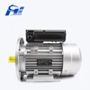 YL series 3000rpm 220 300 watt 200w 300w 50kw 230v 50hz capacitor ac geared pump water motor