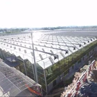 High Quality Factory Prices Hot Galvanized Steel Frame Large Multi-span Glass Greenhouse for Agricultural