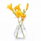 Glass flower vase, glass flower vase for office decoration
