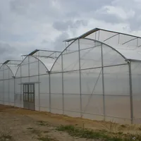 Multispan Tunnel Greenhouse For Strawberry Grape