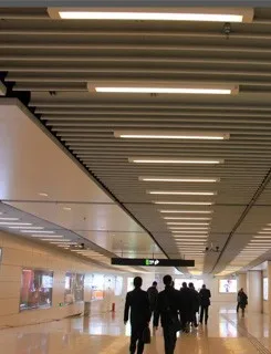 tube