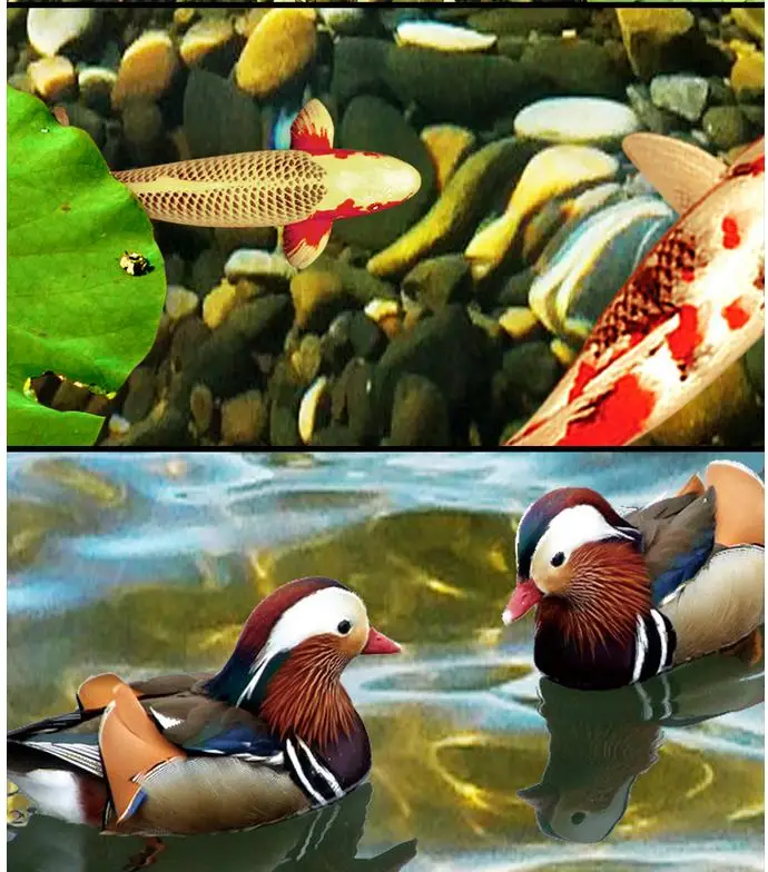 36020160514153802969