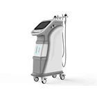 Newest Multifunctional Korea Facial Beauty Equipment For Sale for Wrinkle Removal by Microneedle & RF