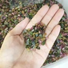 Wholesale Natural Brazil Tourmaline Gravel Watermelon Healing Crystals Tumbled Stones for Fengshui Ornament